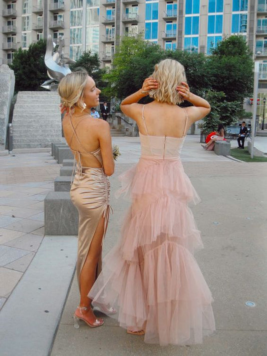 Charming Prom Dress Pink Evening Dress fg2733