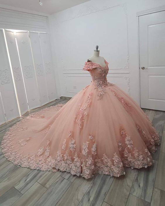 Pink Wedding Dresses Ball Gown Prom Dresses fg2443
