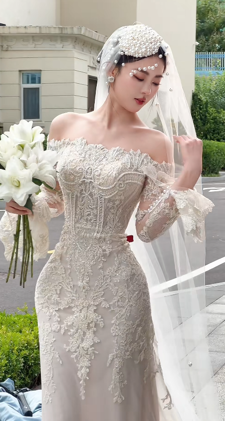 Elegant Off-the-shoulder Sheath Wedding DressesTulle Applique Ivory Bridal Gowns DP3328