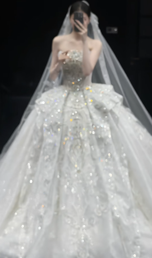 Timeless Strapless Ball Gown Tulle Wedding Dresses Beaded Applique White Bridal Gowns Sleeveless Bridal Dresses DP3356