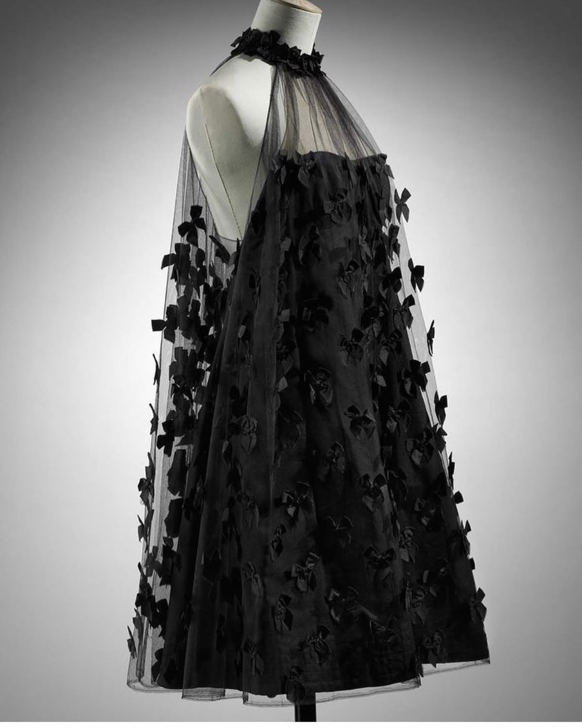 amakanas--Black Exquisite Butterfly Short Tulle Beautiful Suspender Homecoming Dress gh5692