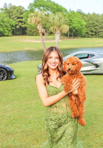 Charming Green Strapless Lace Appliques Mermaid Formal Prom Dress Evening Dress SH870