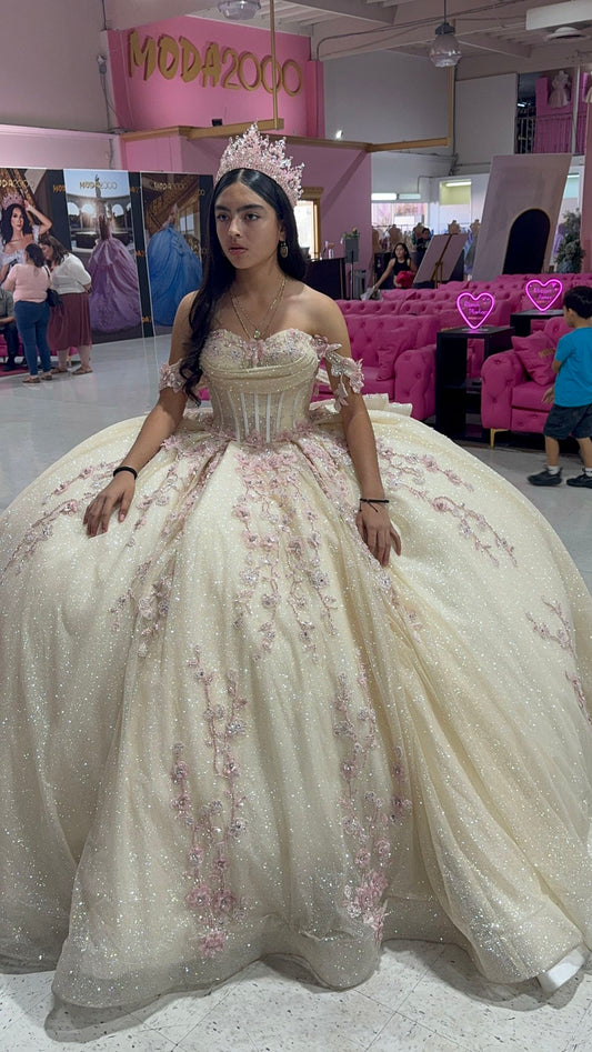 Gorgeous Light Champagne Off-the-shoulder Tulle Long Ball Gown Flower Beads Sweet 16th Birthday Dress Cute Quinceanera Dress DH2737