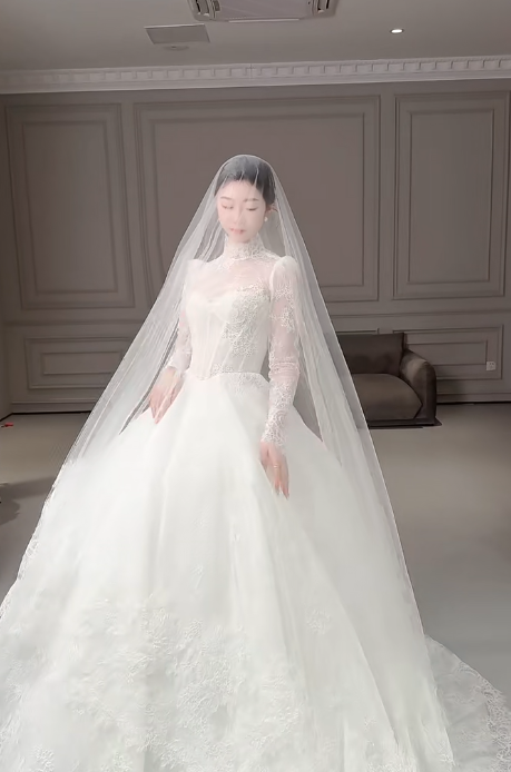 Modest Turtleneck Ball Gown Lace Applique Wedding Dress Elegant Long Sleeve Bridal Dress DP2968