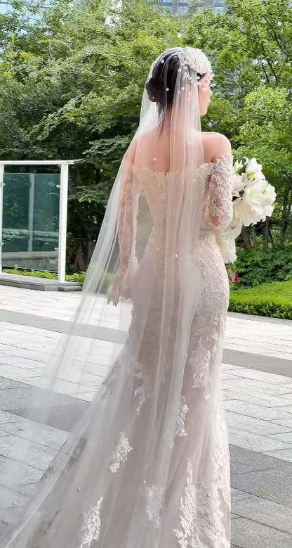 Elegant Off-the-shoulder Sheath Wedding DressesTulle Applique Ivory Bridal Gowns DP3328