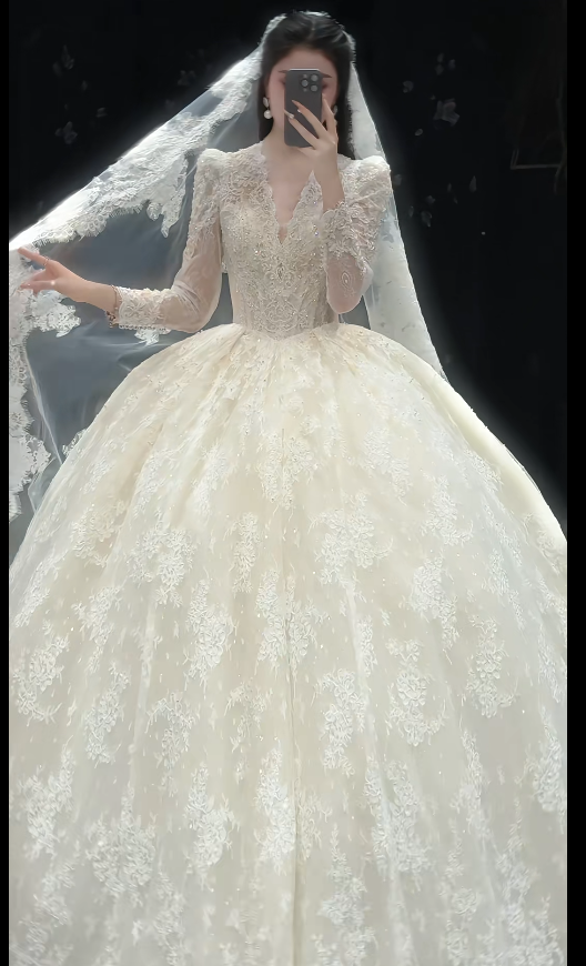 Luxury Ball Gown Long Wedding Dresses Lace Applique White Bridal Gowns Long Sleeve Bridal Dresses DW3792