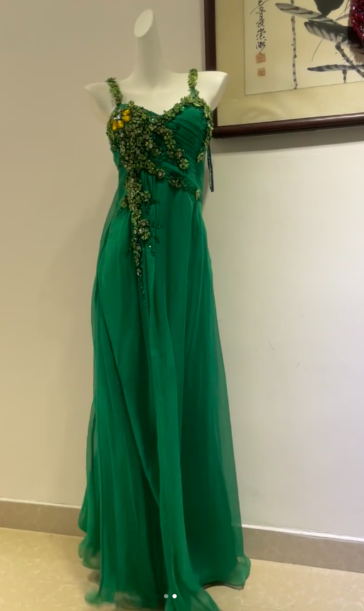 Vintage Green Sheath Formal Dress Beaded Applique Tulle Long Prom Dresses Classy Pleated Evening Dress ED03642