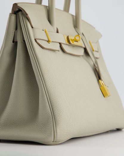 Hermès Birkin 30cm Bag in Beton Togo Leather with Gold Hardware