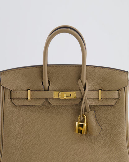 Hermès Birkin 25cm Retourne in Beige Marfa Togo Leather with Gold Hardware