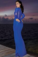 Basia Contrast Mesh Maxi Dress - Image 5