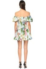 Ivy Printed Shirred Bodice Flare Mini Dress - Image 4