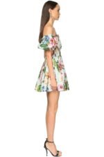 Ivy Printed Shirred Bodice Flare Mini Dress - Image 3