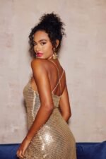 Yvette Mesh Sequins Midi Slip Dress - Image 7